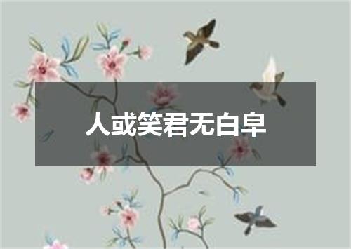 人或笑君无白皁