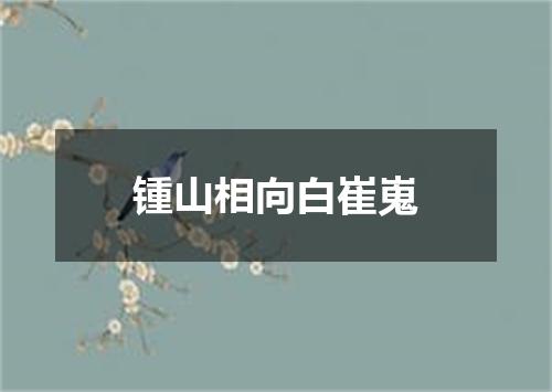 锺山相向白崔嵬