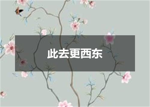 此去更西东