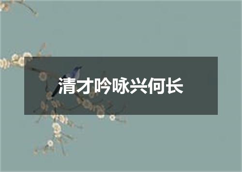 清才吟咏兴何长