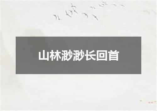 山林渺渺长回首