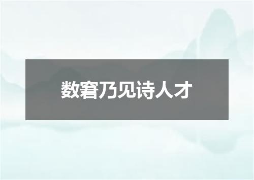 数窘乃见诗人才