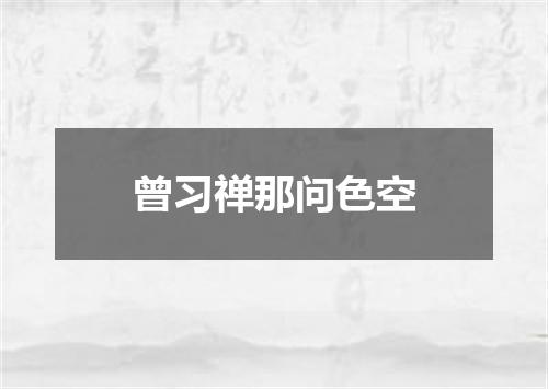 曾习禅那问色空