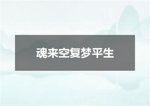 魂来空复梦平生