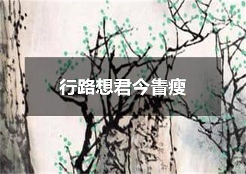 行路想君今眚瘦