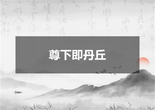 尊下即丹丘