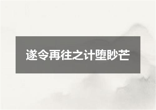 遂令再往之计堕眇芒