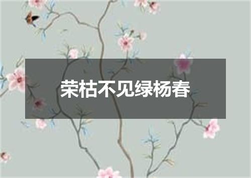 荣枯不见绿杨春