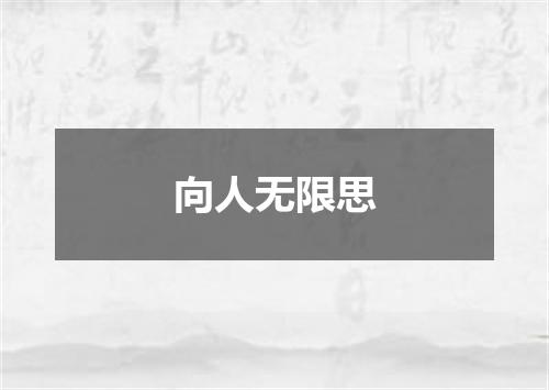 向人无限思