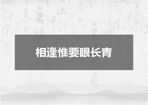 相逢惟要眼长青