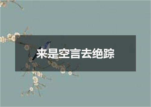 来是空言去绝踪