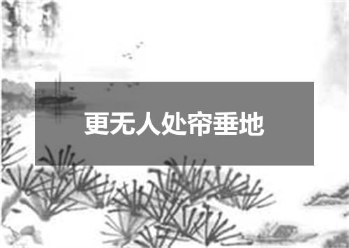 更无人处帘垂地