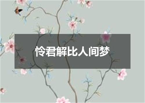 怜君解比人间梦