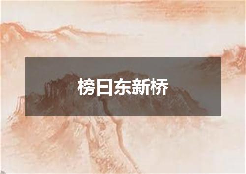 榜曰东新桥