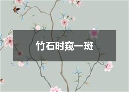 竹石时窥一斑