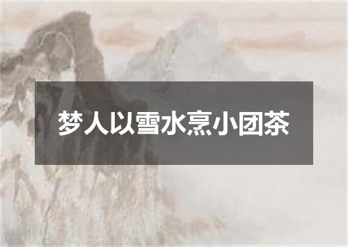 梦人以雪水烹小团茶