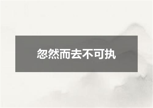 忽然而去不可执