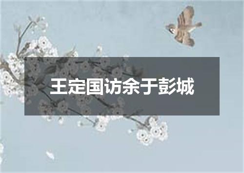 王定国访余于彭城