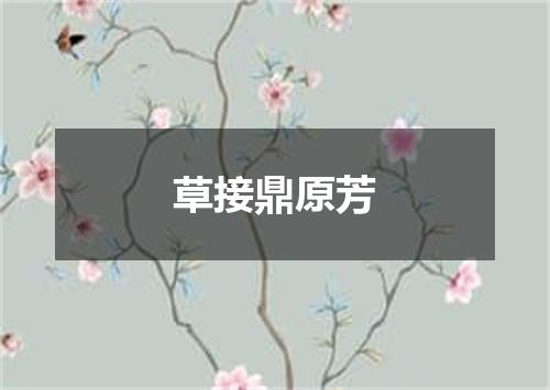 草接鼎原芳