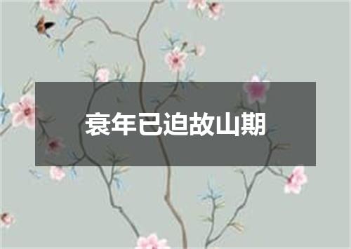 衰年已迫故山期