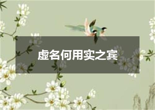 虚名何用实之宾