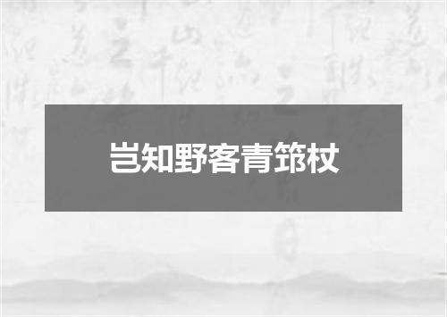 岂知野客青筇杖