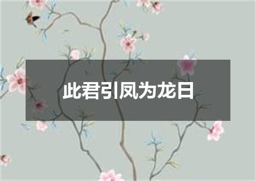 此君引凤为龙日