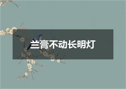 兰膏不动长明灯