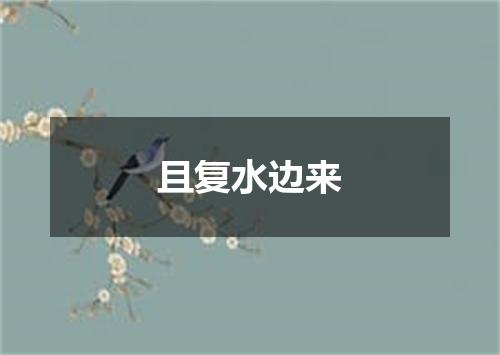 且复水边来