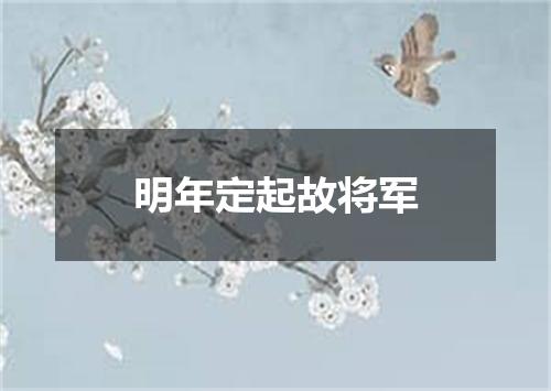 明年定起故将军