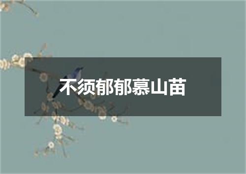 不须郁郁慕山苗