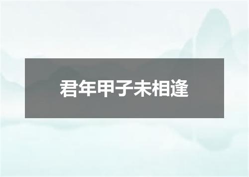 君年甲子未相逢