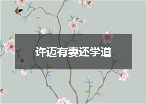 许迈有妻还学道