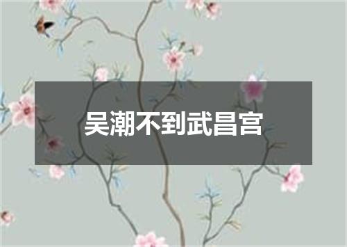 吴潮不到武昌宫