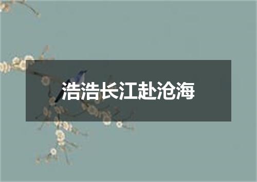 浩浩长江赴沧海