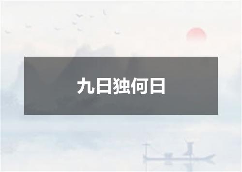 九日独何日