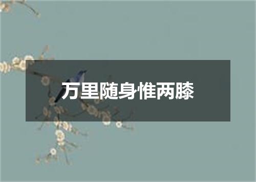 万里随身惟两膝