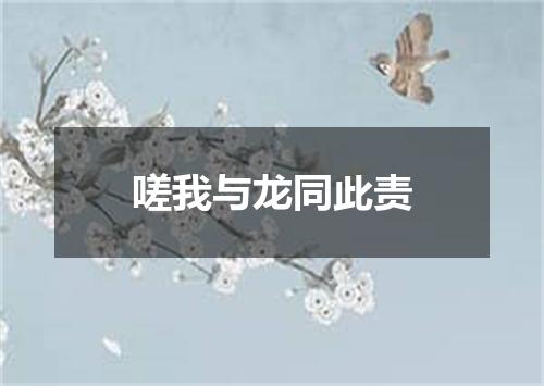 嗟我与龙同此责