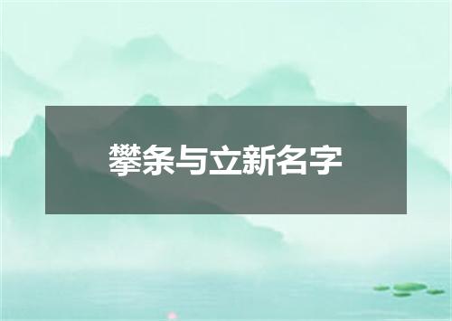 攀条与立新名字