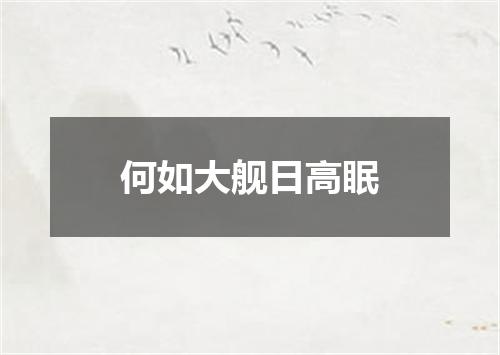 何如大舰日高眠