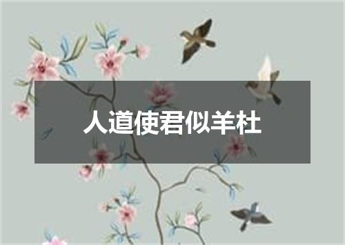 人道使君似羊杜