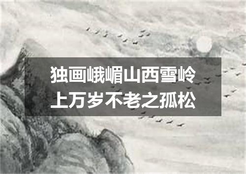 独画峨嵋山西雪岭上万岁不老之孤松