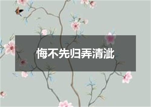 悔不先归弄清泚