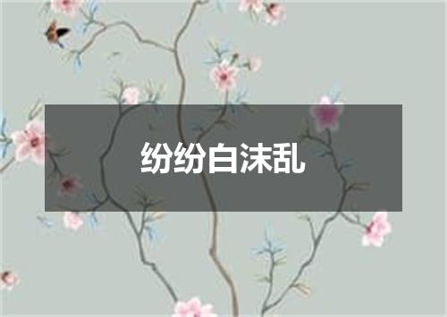 纷纷白沫乱