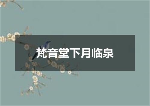 梵音堂下月临泉