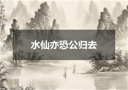 水仙亦恐公归去