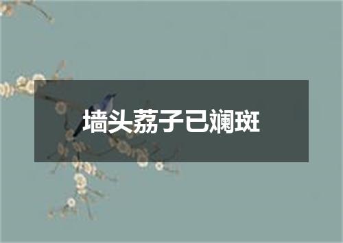 墙头荔子已斓斑