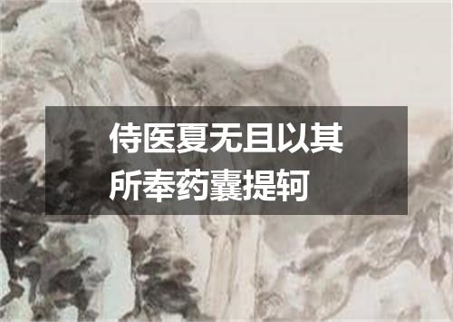 侍医夏无且以其所奉药囊提轲