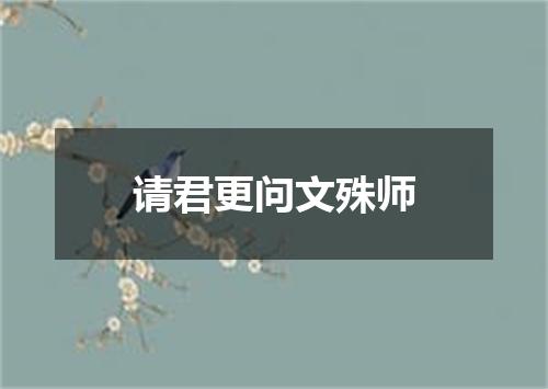 请君更问文殊师