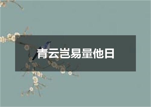 青云岂易量他日